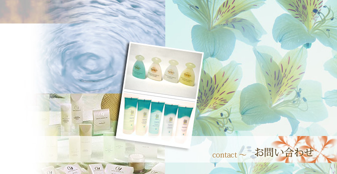 �`���R���[�g�t�@�E���e�� �A���j�e�B �z�e���p�i