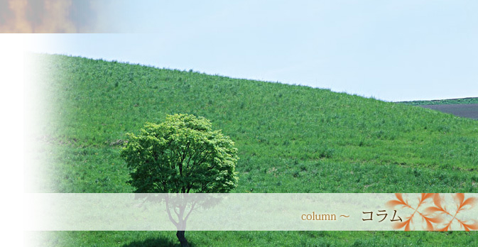 �`���R���[�g�t�@�E���e�� �A���j�e�B �z�e���p�i